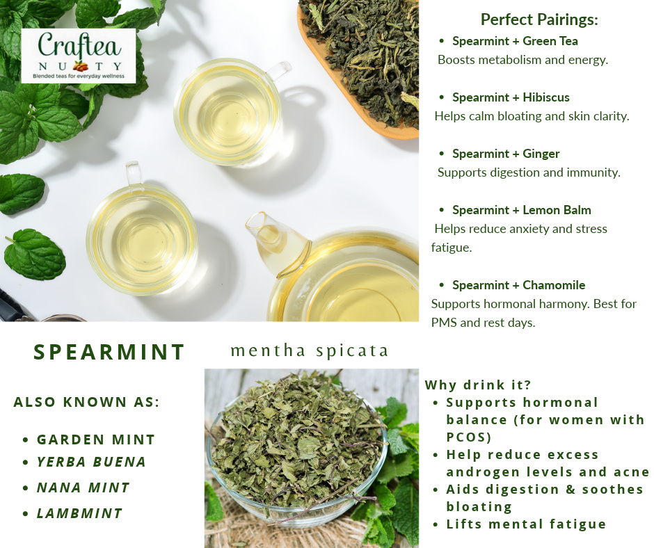 Spearmint tea dried spearmint mentha spicata loose leaf tea mint