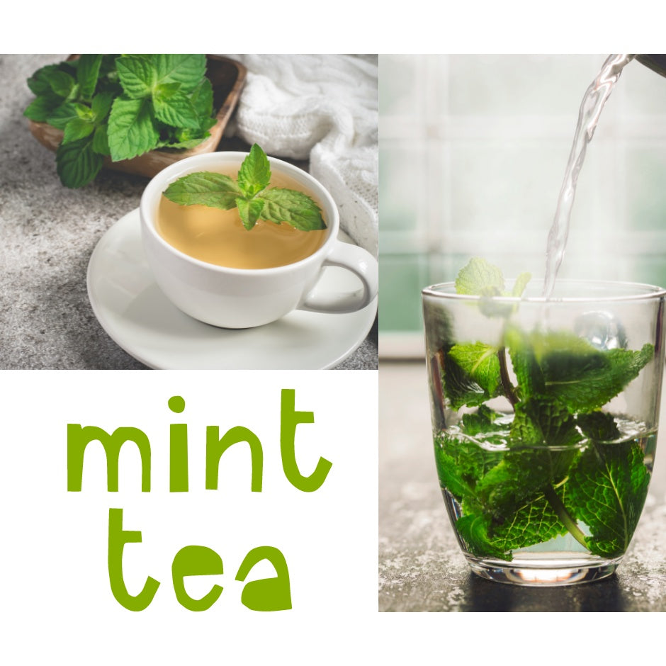 Craftea NUTTY Dried Mint Tea Caffeine Free with Teabags